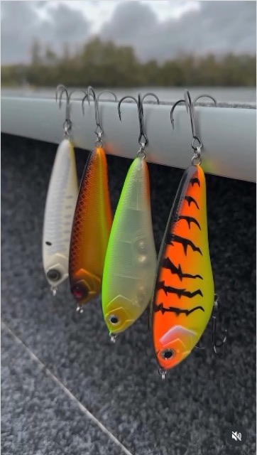Shimano Yasei Javelin Jerk